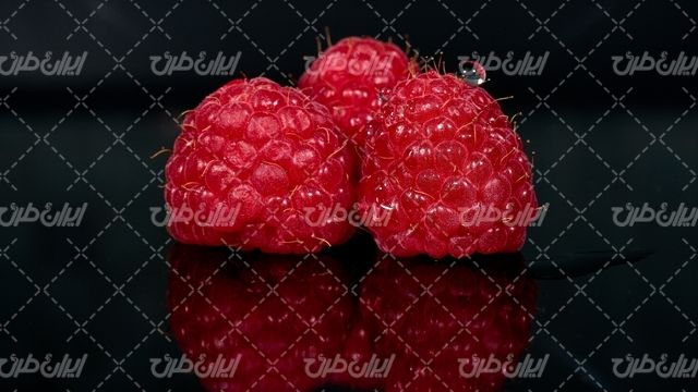 تصویر با کیفیت تمشک همراه با میوه و میوه استوایی