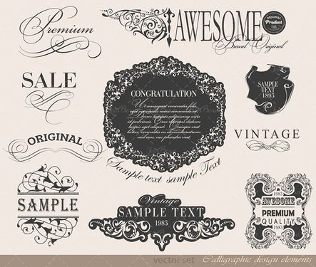 وکتور  کادر گل حاشیه گل گل و بوته لیبل برچسب رنگی