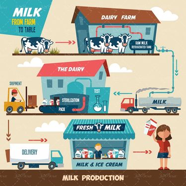 وکتور مراحل تهیه و تولیده شیر گاو شیر پاکتی