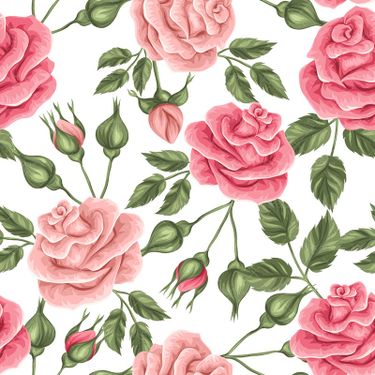 وکتور گل محمدی غنچه گل گل و مرغ بک گراند گل1