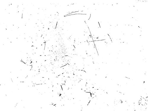 وکتور بافت گرانج وکتور خط خطی بک گراند بافت گرانج8