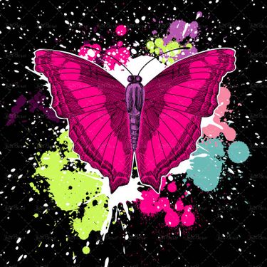 وکتور پروانه وکتور پروانه رنگی بک گراند گرافیکی