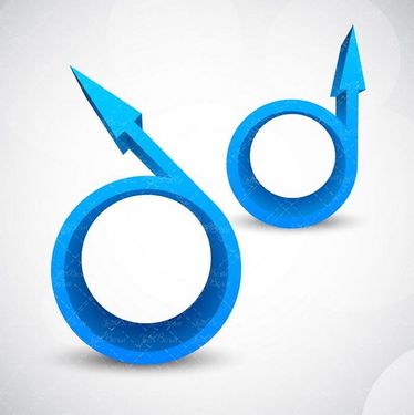 وکتور  قالب عکس فریم عکس فریم تصویر فلش