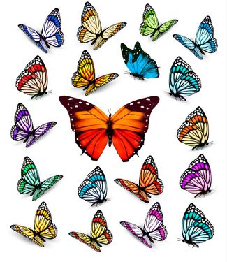 وکتور انواع پروانه پروانه رنگی پروانه گرافیکی 1