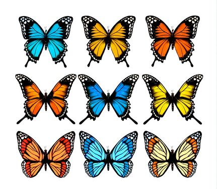 وکتور انواع پروانه پروانه رنگی پروانه گرافیکی 2