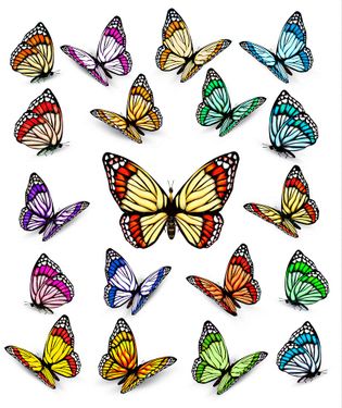 وکتور انواع پروانه پروانه رنگی پروانه گرافیکی 3