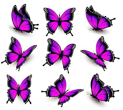 وکتور انواع پروانه پروانه رنگی پروانه گرافیکی 4
