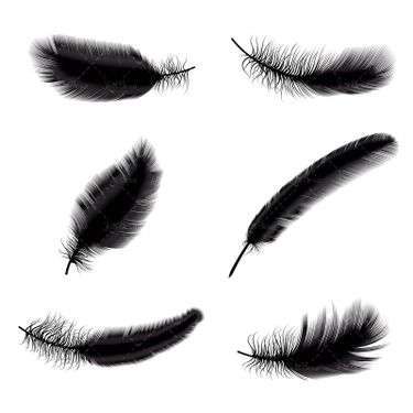 وکتور پر وکتور  پر مشکی وکتور پر سیاه پر پرنده4