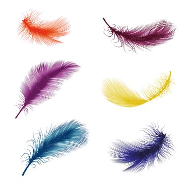 وکتور پر وکتور  پر رنگی  وکتور پر گرافیکی3