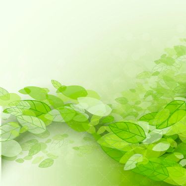 وکتور بک گراند برگ سبز تصویر زمینه پس زمینه