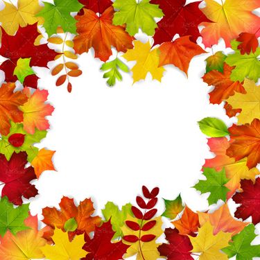 وکتور برگ درخت برگ زرد وکتور پاییز وکتور قاب