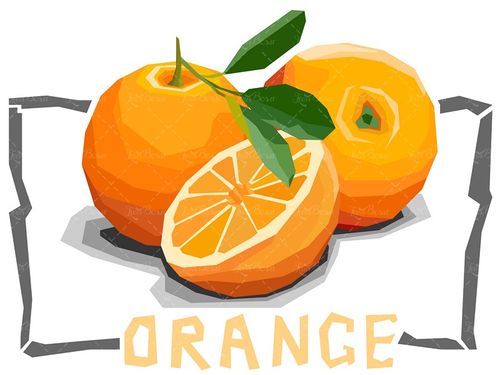وکتور پرتقال سوپر میوه قاچ پرتقال میوه فروشی