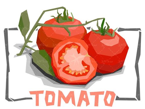 وکتور گوجه فرنگی   میوه فروشی میوه سرا سوپر میوه گوجه فرنگی  نصف شده