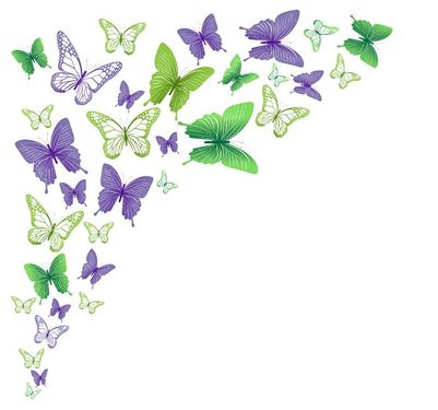 وکتور انواع پروانه وکتور پروانه رنگی 12