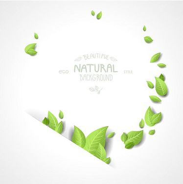 وکتور  بک گراند  برگ وکتور کادر گل وکتور حاشیه برگ