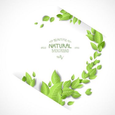 وکتور  بکگراند وکتور برگ وکتور پس زمینه1