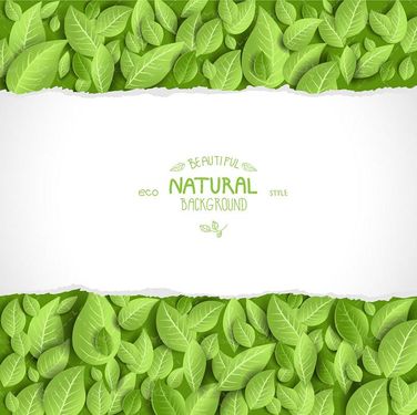 وکتور  بکگراند وکتور برگ وکتور پس زمینه2