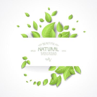 وکتور  بک گراند برگ وکتور کادر برگ وکتور بکگراند