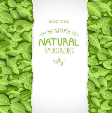 وکتور  بک گراند برگ وکتور کادر برگ وکتور بکگراند5