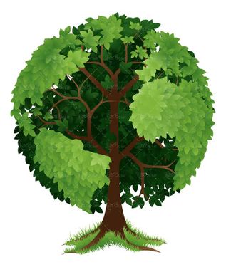 وکتور درخت وکتور شاخه وکتور درخت سرسبز