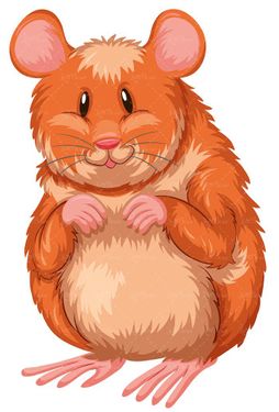 وکتور حیوان موزی وکتور موش وکتور موش آزمایشگاهی