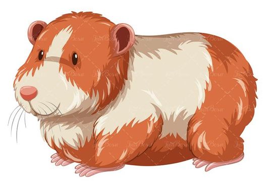 وکتور سگ چاق وکتور حیوان اهلی وکتور دامپزشکی