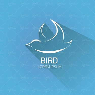 وکتور پرنده دریایی وکتور پنگوئن وکتور پرنده آبی