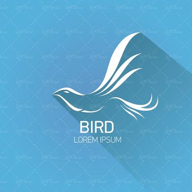 وکتور پرنده دریایی وکتور پنگوئن وکتور پرنده آبی1