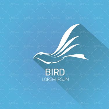 وکتور پرنده دریایی وکتور پنگوئن وکتور پرنده آبی2