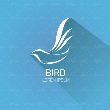 وکتور پرنده دریایی وکتور پنگوئن وکتور پرنده آبی3