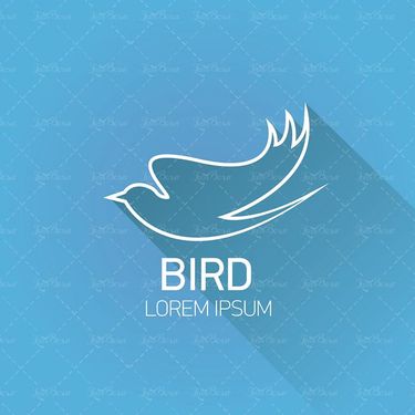 وکتور پرنده دریایی وکتور پنگوئن وکتور پرنده آبی4