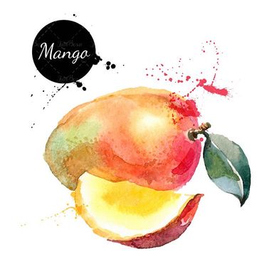 وکتور میوه فروشی وکتور انبه   وکتور سوپر میوه 5