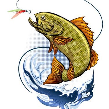 وکتور  ماهی