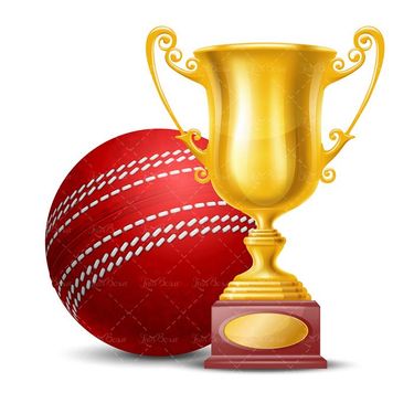 وکتور توپ کریکت وکتور توپ بیسبال وکتور لوازم ورزشی1