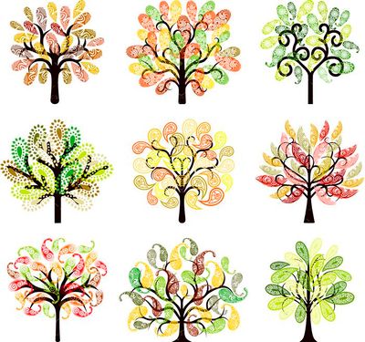 وکتور  درخت وکتور لوگوی درخت وکتور درختچه وکتور درخت تزئینی