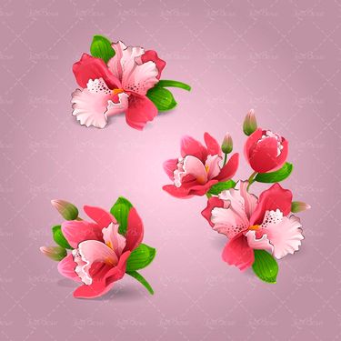 وکتور  گل وکتور شاخه گل وکتور دسته گل وکتور گلفروشی9