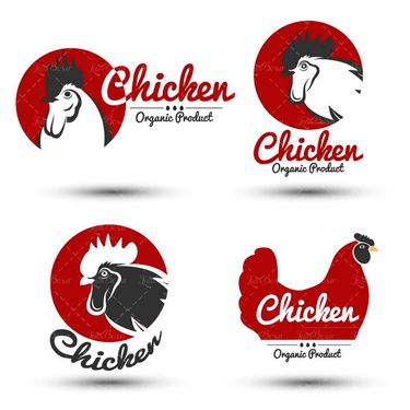 وکتور لیبل مرغ ارگانیک وکتور برچسب مرغ گرافیکی1