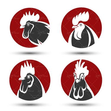 وکتور مرغ ارگانیک وکتور برچسب رنگی پروتئینی1