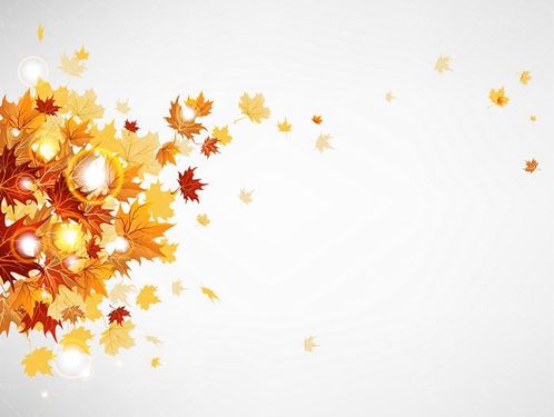 وکتور برگ زرد وکتور فصل پاییز وکتور برگریزان وکتور جلوه نور