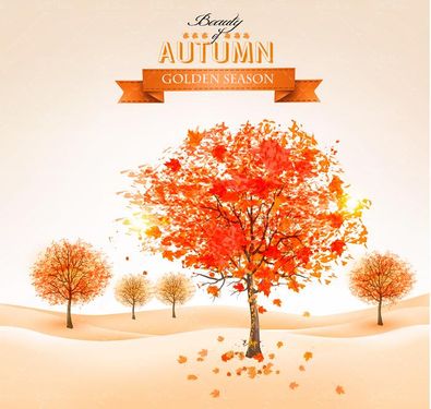 وکتور درخت پاییزی وکتور  وکتور برگ زرد و قرمز درخت2