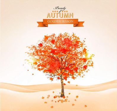 وکتور درخت پاییزی وکتور  وکتور برگ زرد و قرمز درخت3
