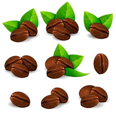 وکتور دانه های قهوه وکتور قهوه فرآوری شده 13