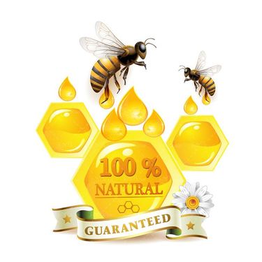 وکتور لوگو تولید عسل وکتور زنبور عسل وکتور لوگو عسل 100 درصد طبیعی33