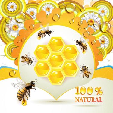 وکتور لوگو تولید عسل وکتور زنبور عسل وکتور لوگو عسل 100 درصد طبیعی41