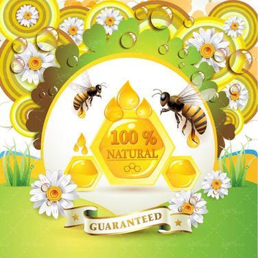 وکتور لوگو تولید عسل وکتور زنبور عسل وکتور لوگو عسل 100 درصد طبیعی42