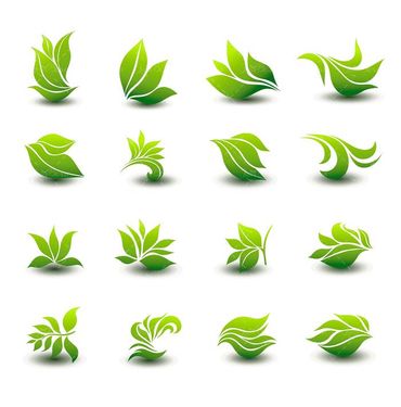 وکتور برگ وکتور برگ سبز وکتور برگ درخت 1