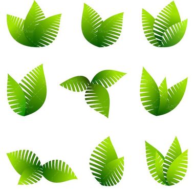 وکتور برگ وکتور برگ سبز وکتور برگ درخت 2