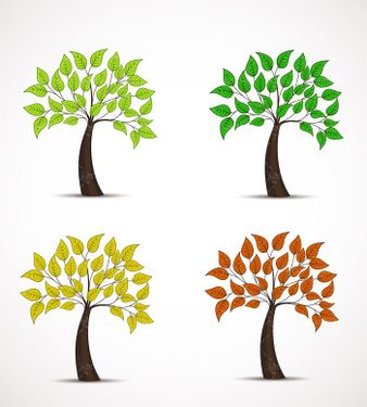 وکتور لوگو درخت وکتور درخت  بهاری وکتور برگ سبز3