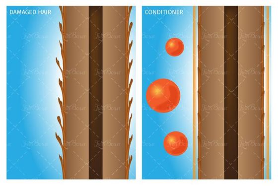 وکتور موی سالم وکتور موی نرم وکتور موی آسیب دیده