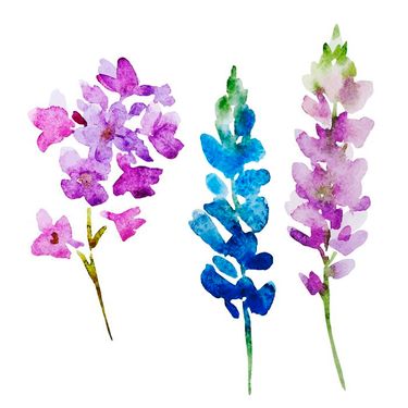 وکتور گل وکتور شاخه گل وکتور گل رنگی وکتور گلفروشی